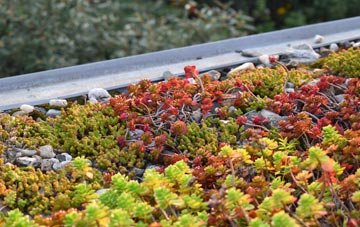 the cost of Rumbow Cottages green roof installation