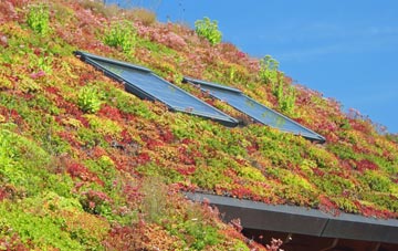 Rumbow Cottages living roof systems